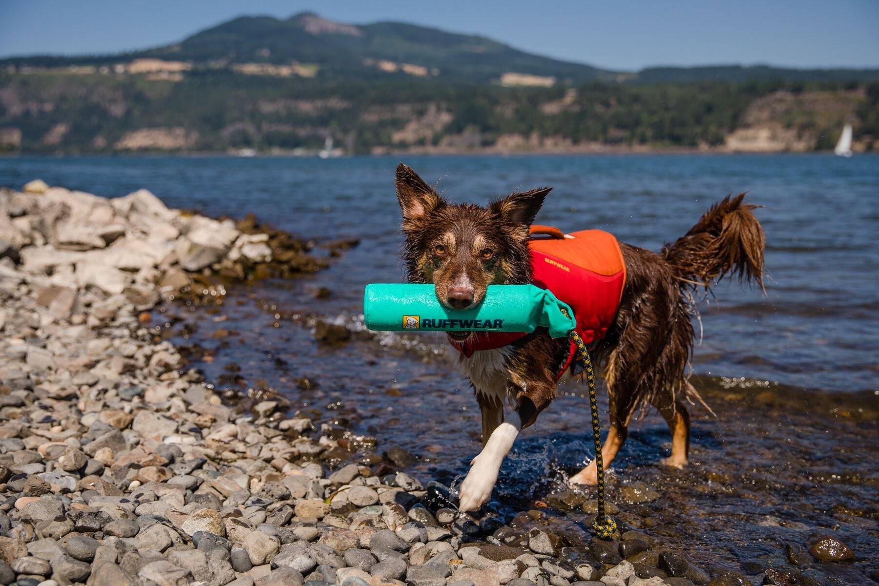 Float Coat Pre 2025 (Ruffwear) - SnowPaw Store - Ruffwear - Active Dog Gear